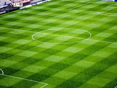 人造草坪