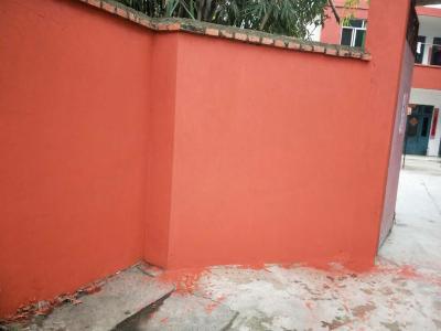 煥然一新的房屋